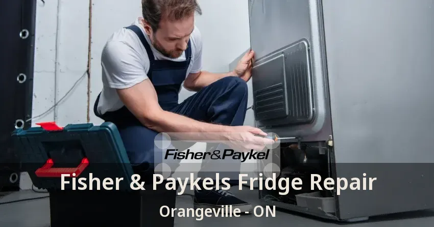 Fisher & Paykels Fridge Repair Orangeville - ON