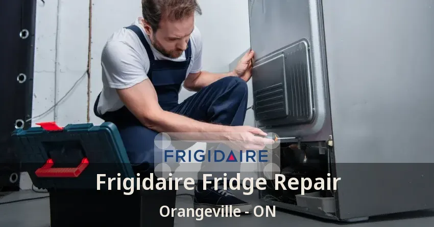 Frigidaire Fridge Repair Orangeville - ON