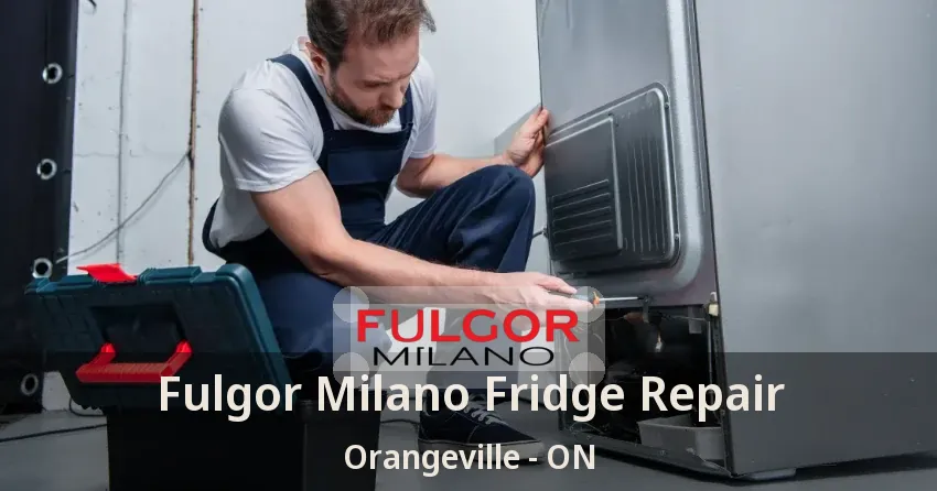 Fulgor Milano Fridge Repair Orangeville - ON