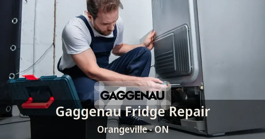 Gaggenau Fridge Repair Orangeville - ON