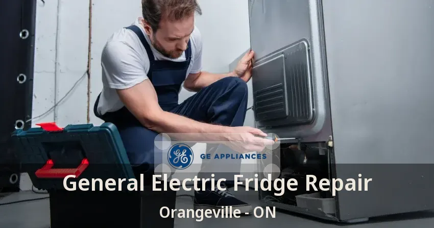 General Electric Fridge Repair Orangeville - ON