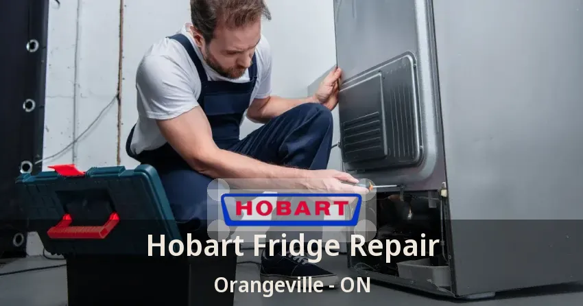 Hobart Fridge Repair Orangeville - ON