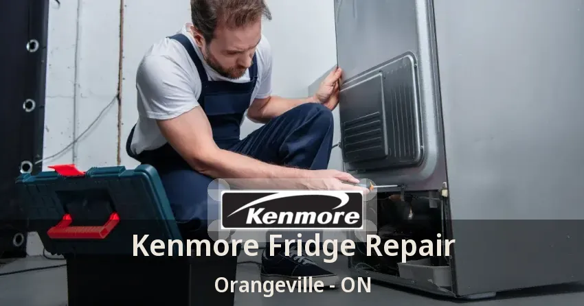Kenmore Fridge Repair Orangeville - ON