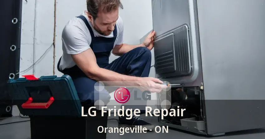 LG Fridge Repair Orangeville - ON