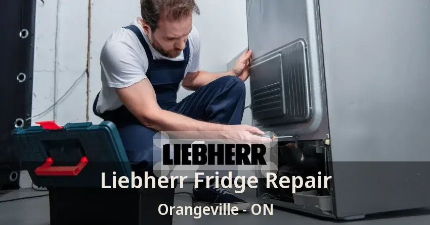 Liebherr Fridge Repair Orangeville - ON