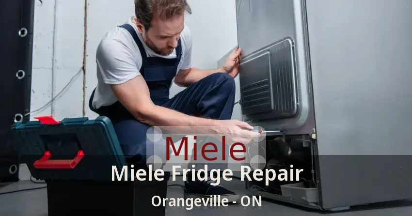 Miele Fridge Repair Orangeville - ON