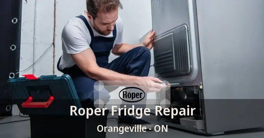 Roper Fridge Repair Orangeville - ON