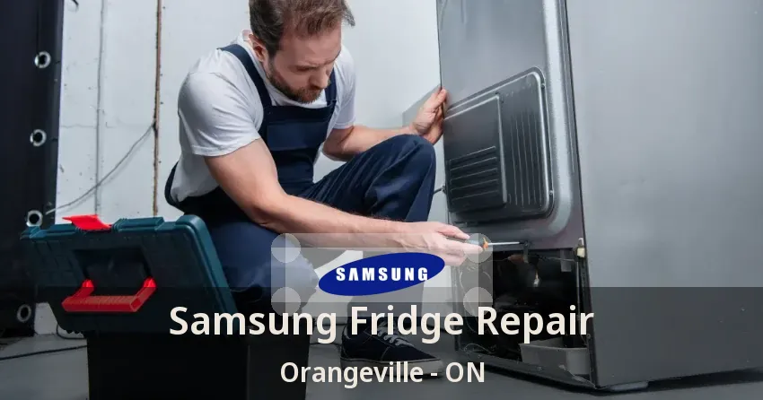 Samsung Fridge Repair Orangeville - ON