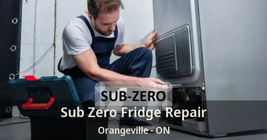 Sub Zero Fridge Repair Orangeville - ON