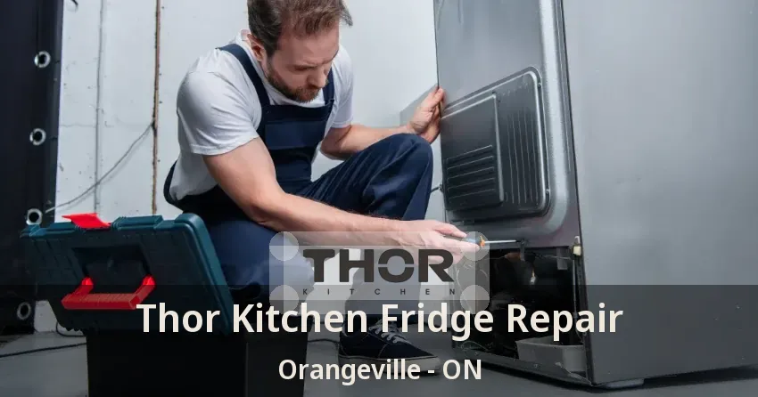 Thor Kitchen Fridge Repair Orangeville - ON