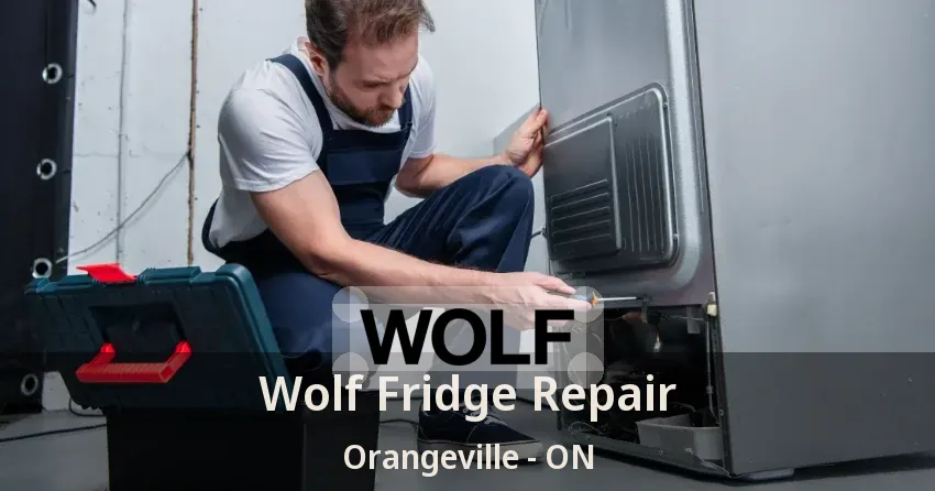 Wolf Fridge Repair Orangeville - ON