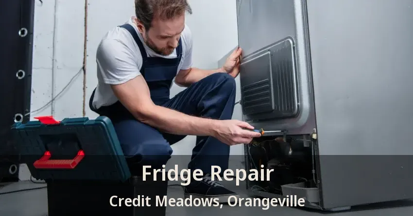 Fridge Repair Credit Meadows, Orangeville - ON