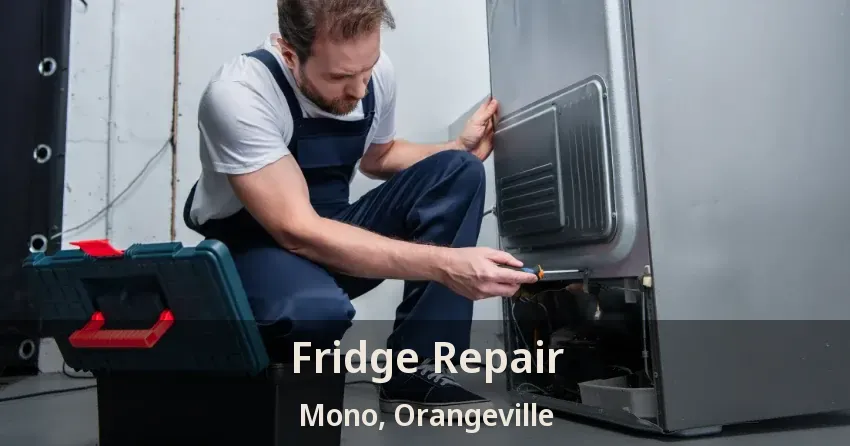 Fridge Repair Mono, Orangeville - ON