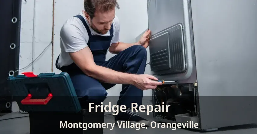 Fridge Repair Montgomery Village, Orangeville - ON