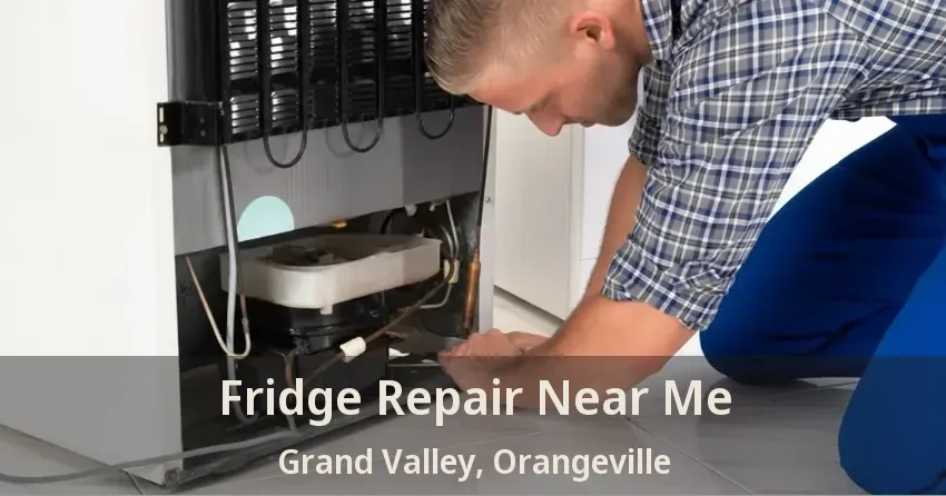 Fridge Repair Near Me Grand Valley, Orangeville - ON
