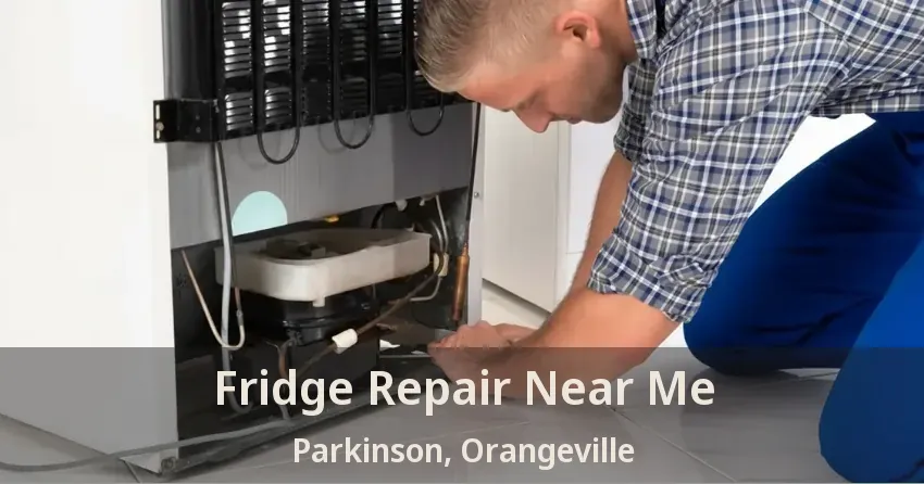 Fridge Repair Near Me Parkinson, Orangeville - ON