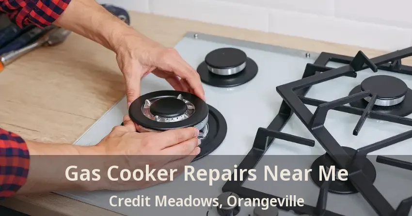 Gas Cooker Repairs Near Me Credit Meadows, Orangeville - ON