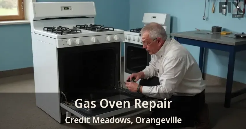 Gas Oven Repair Credit Meadows, Orangeville - ON