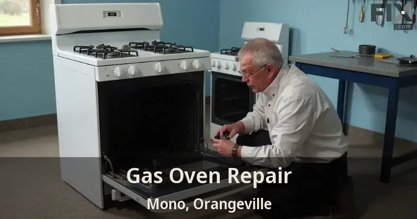 Gas Oven Repair Mono, Orangeville - ON