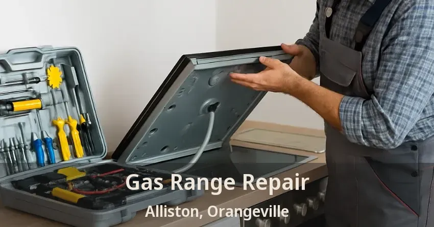 Gas Range Repair Alliston, Orangeville - ON