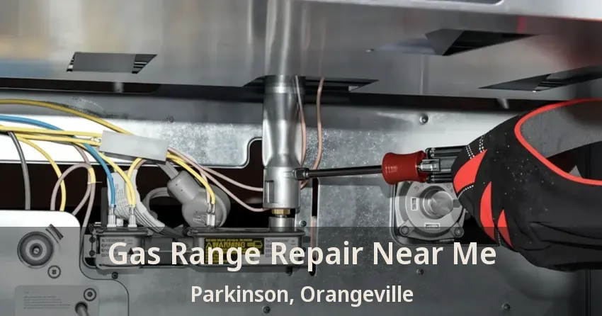 Gas Range Repair Near Me Parkinson, Orangeville - ON