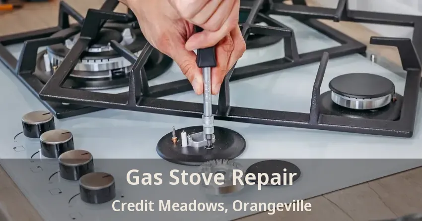 Gas Stove Repair Credit Meadows, Orangeville - ON