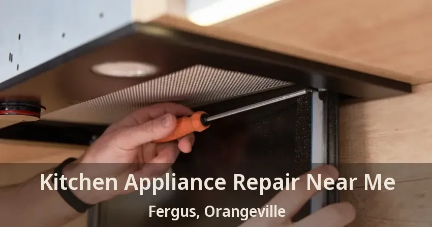 Kitchen Appliance Repair Near Me Fergus, Orangeville - ON
