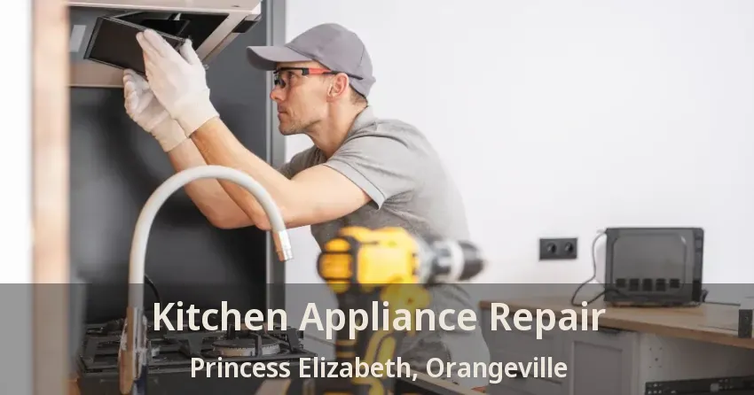 Kitchen Appliance Repair Princess Elizabeth, Orangeville - ON