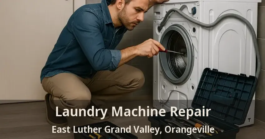 Laundry Machine Repair East Luther Grand Valley, Orangeville - ON