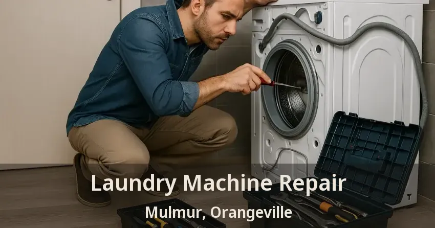 Laundry Machine Repair Mulmur, Orangeville - ON