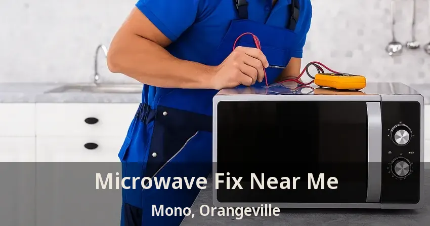 Microwave Fix Near Me Mono, Orangeville - ON