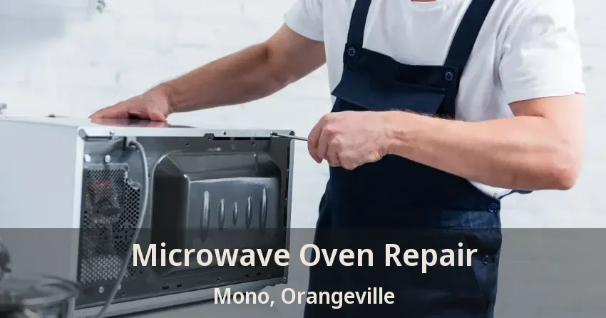 Microwave Oven Repair Mono, Orangeville - ON