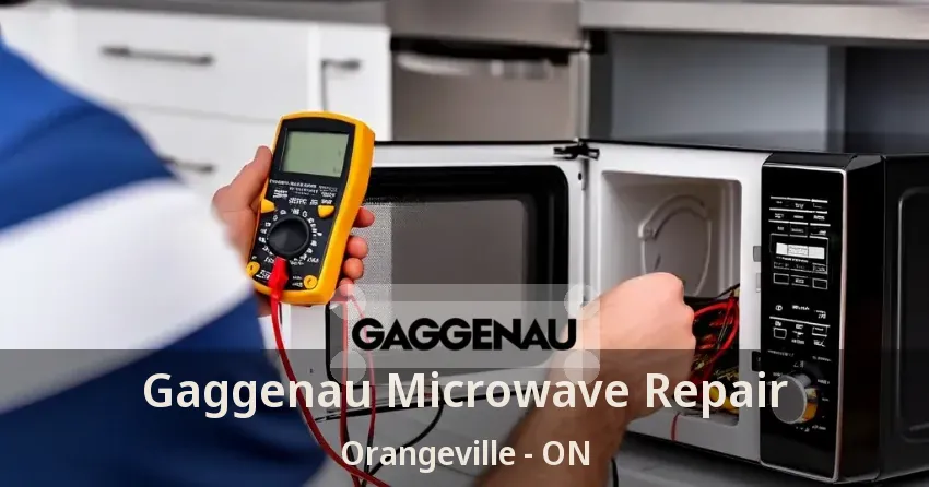 Gaggenau Microwave Repair Orangeville - ON
