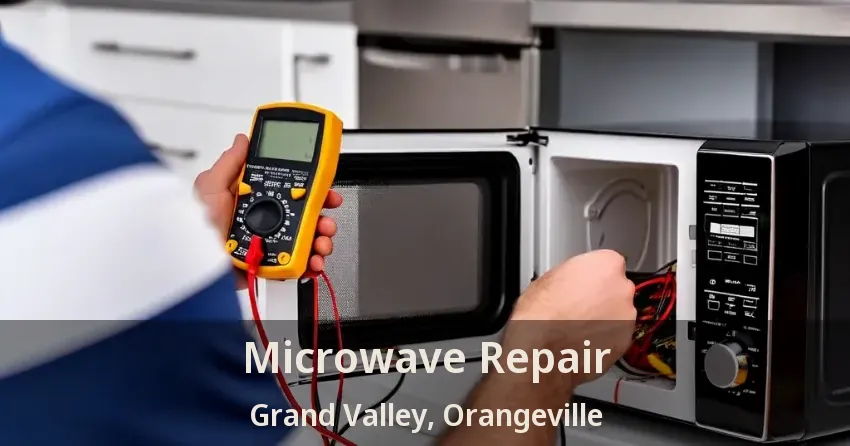 Microwave Repair Grand Valley, Orangeville - ON