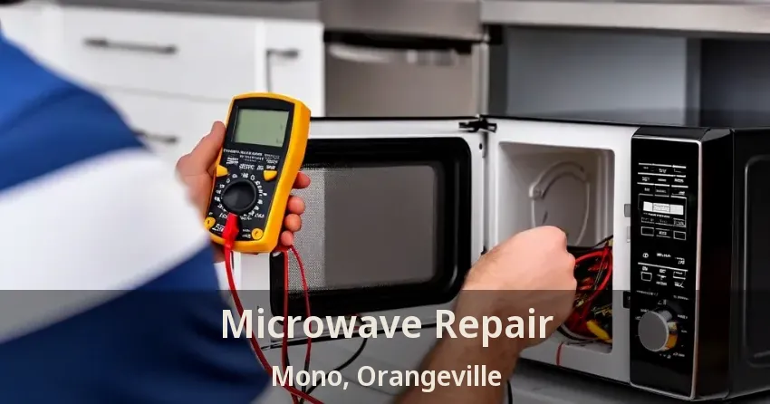 Microwave Repair Mono, Orangeville - ON