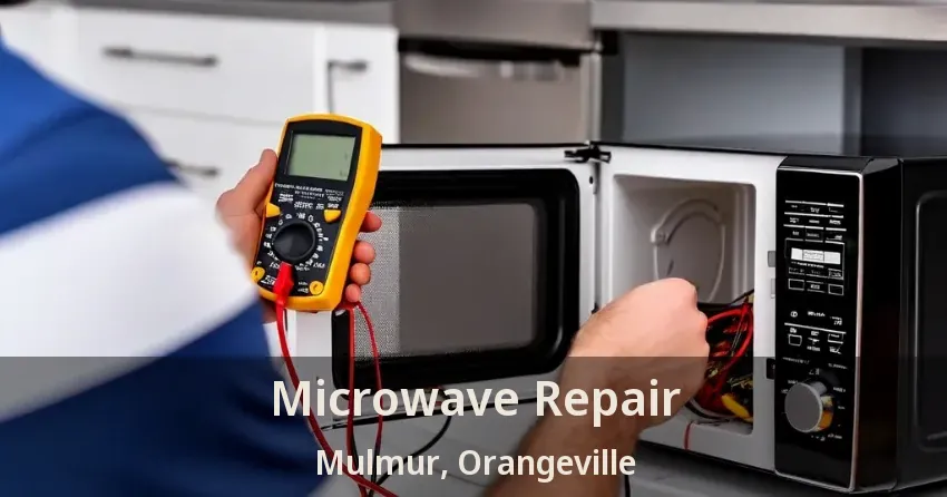 Microwave Repair Mulmur, Orangeville - ON