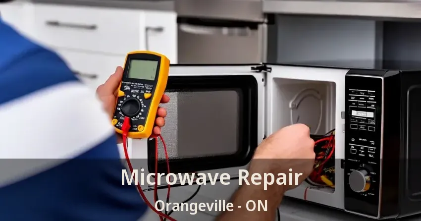 Microwave Repair Orangeville - ON