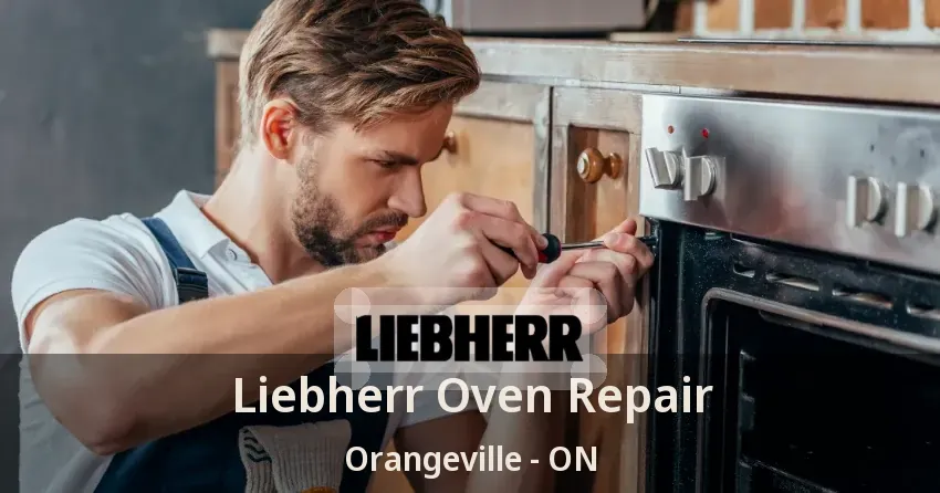 Liebherr Oven Repair Orangeville - ON