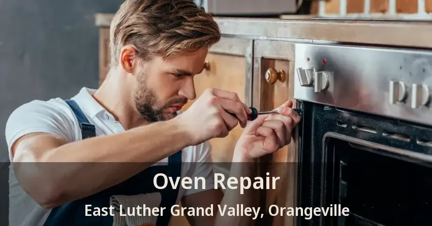 Oven Repair East Luther Grand Valley, Orangeville - ON