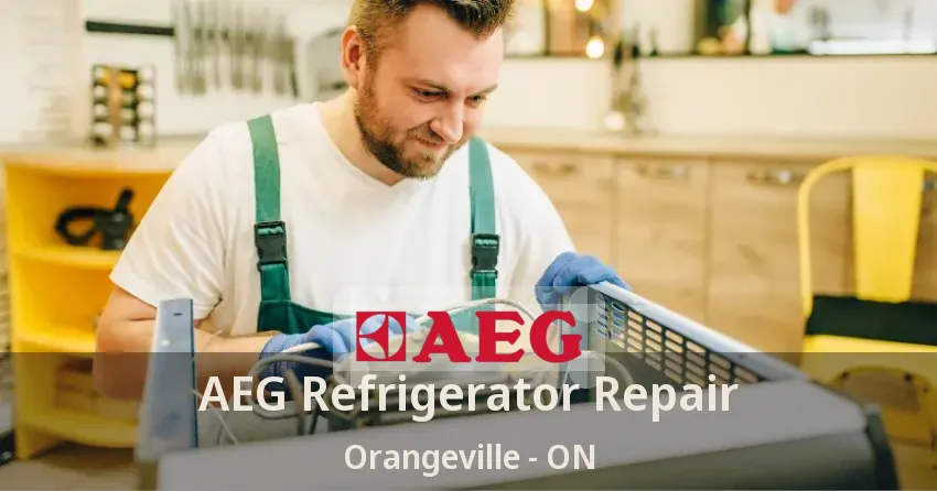 AEG Refrigerator Repair Orangeville - ON