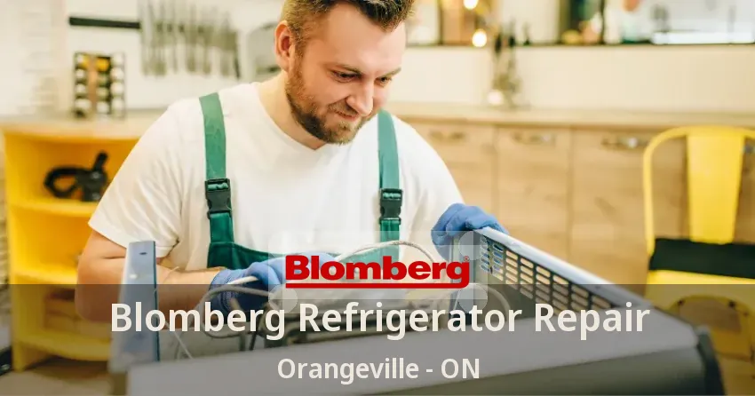 Blomberg Refrigerator Repair Orangeville - ON