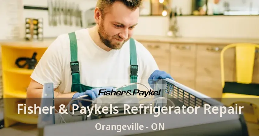 Fisher & Paykels Refrigerator Repair Orangeville - ON