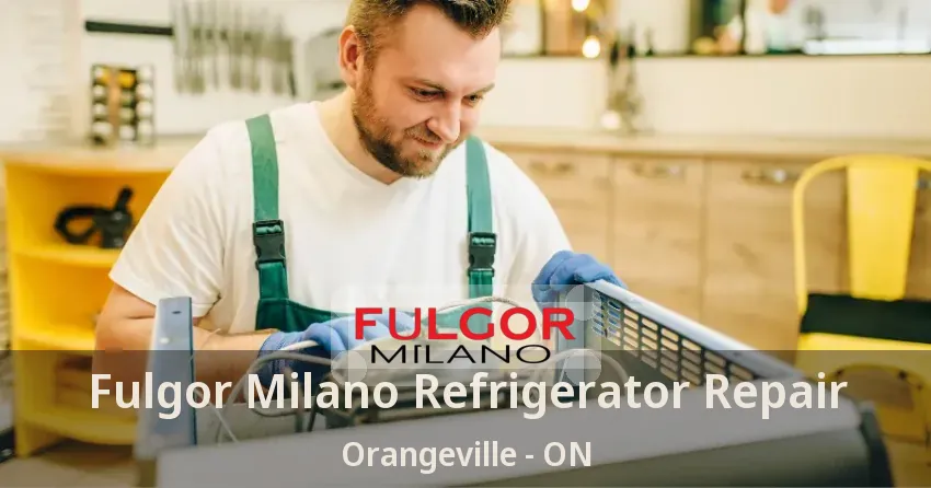 Fulgor Milano Refrigerator Repair Orangeville - ON