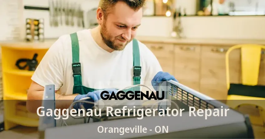 Gaggenau Refrigerator Repair Orangeville - ON