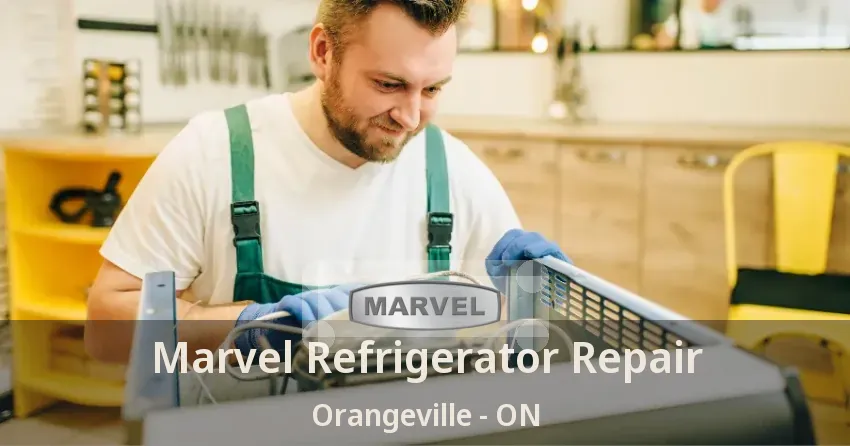 Marvel Refrigerator Repair Orangeville - ON