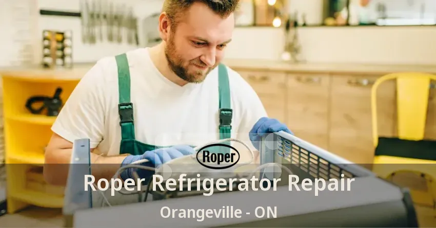 Roper Refrigerator Repair Orangeville - ON