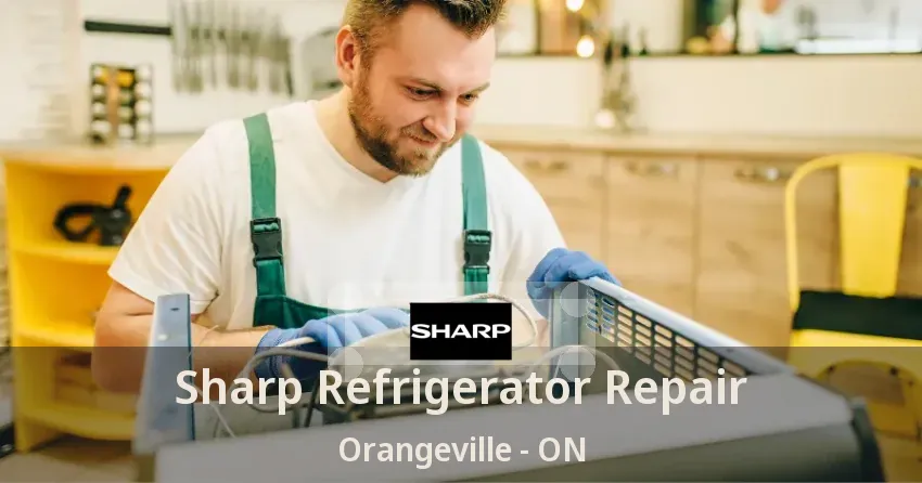 Sharp Refrigerator Repair Orangeville - ON