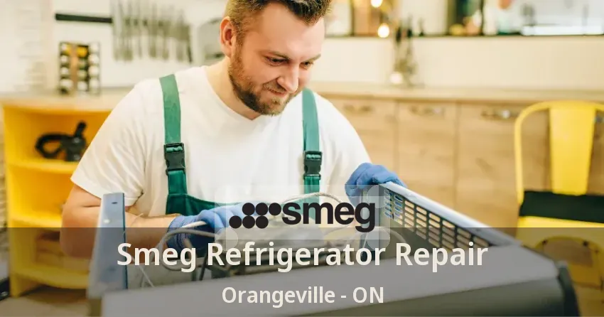 Smeg Refrigerator Repair Orangeville - ON