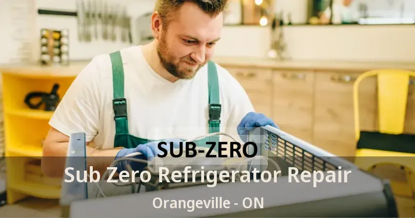 Sub Zero Refrigerator Repair Orangeville - ON