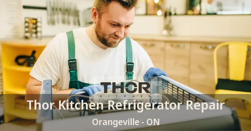 Thor Kitchen Refrigerator Repair Orangeville - ON